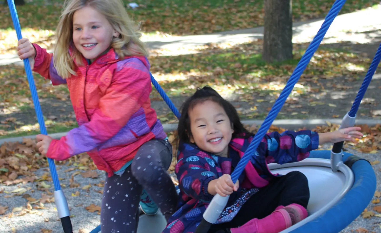 Ark Elementary Montessori Reggio School