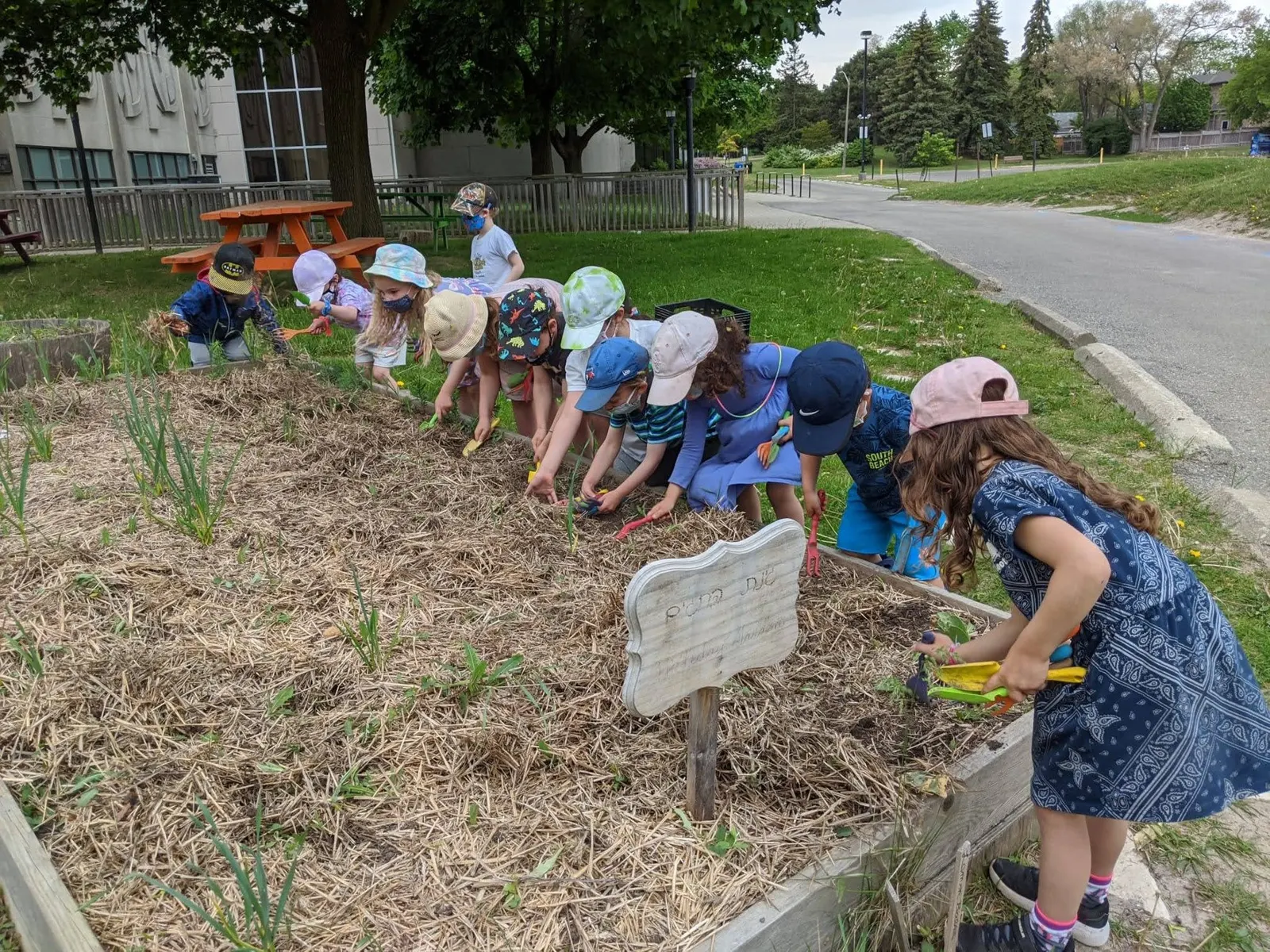 Montessori Jewish Day School
