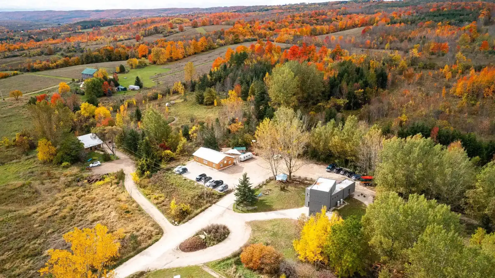 Blue Mountain Wild School