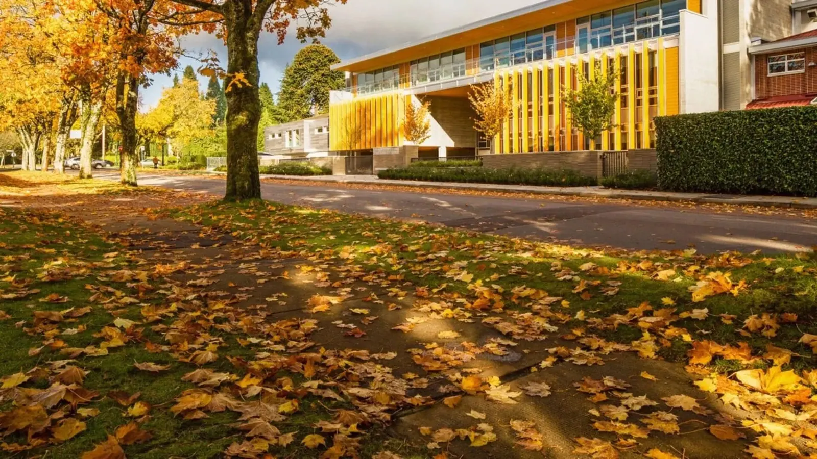 York House School