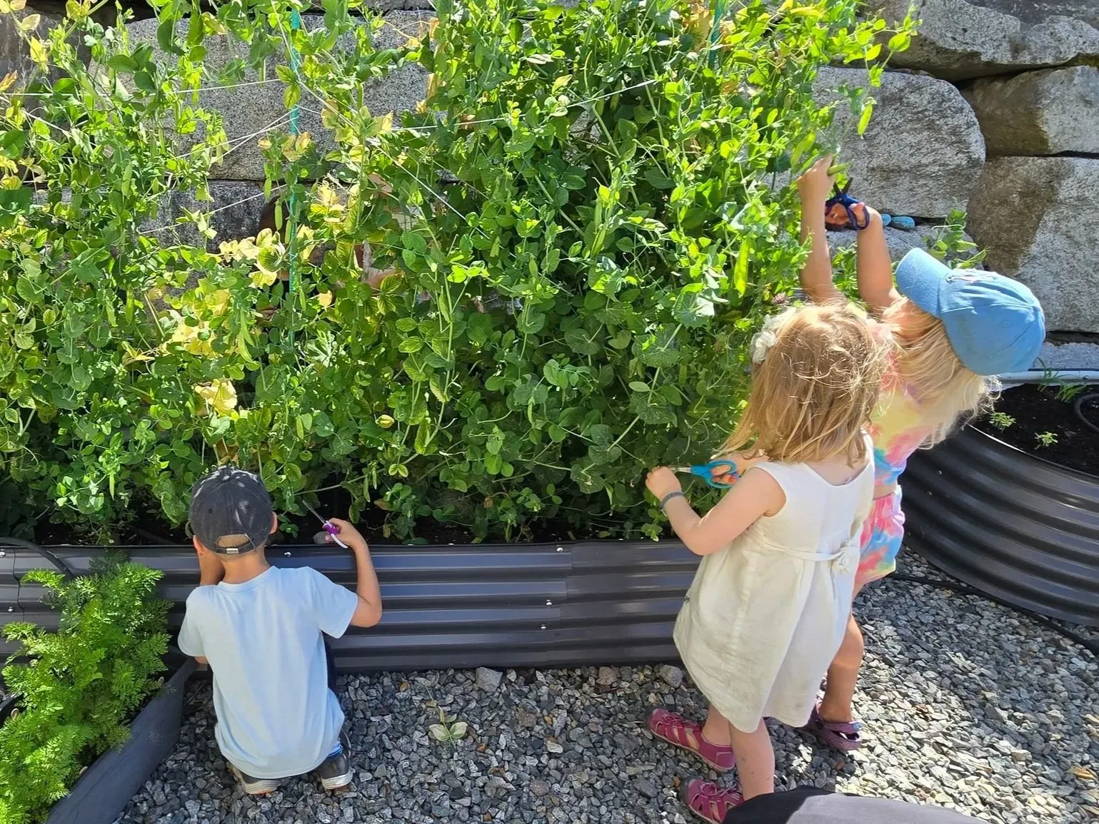 Skyridge Montessori Elementary