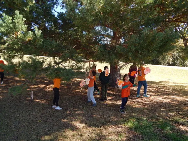 Woodlands Adventist School