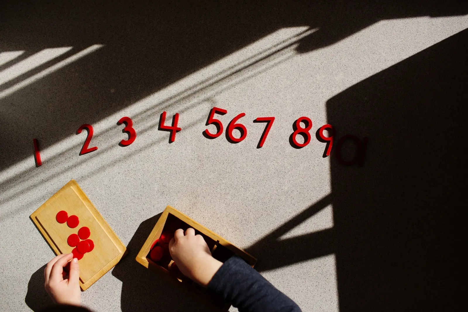 Phoenix Montessori School Inc