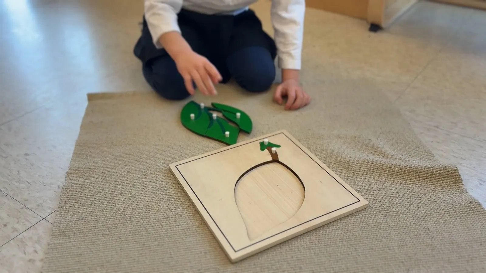 Stirling Montessori Academy