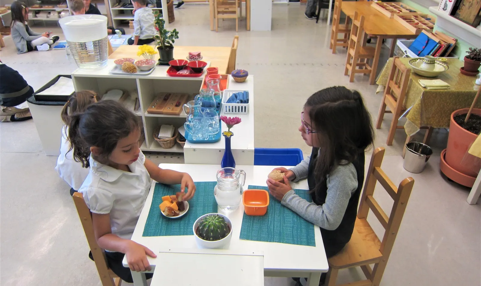 Montessori School of Calgary