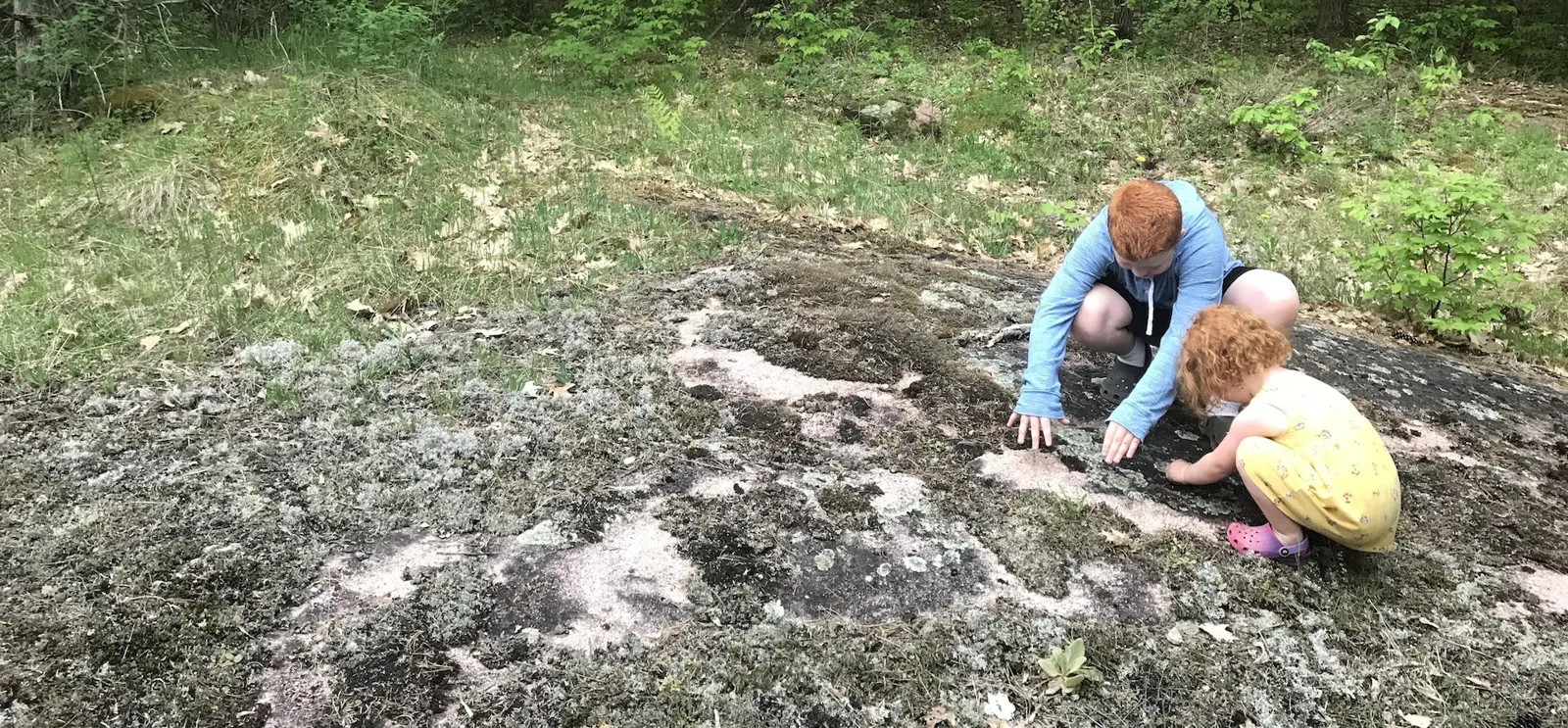 Foley Mountain Forest School