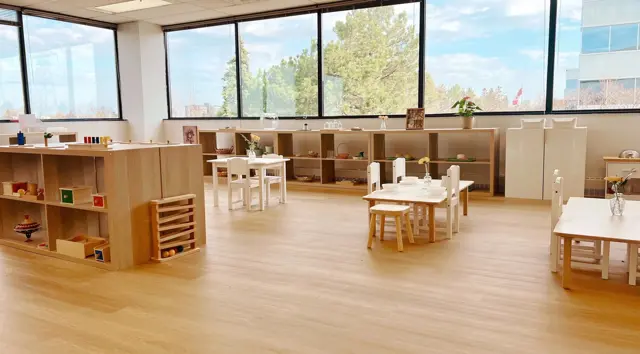 Blossom Montessori School