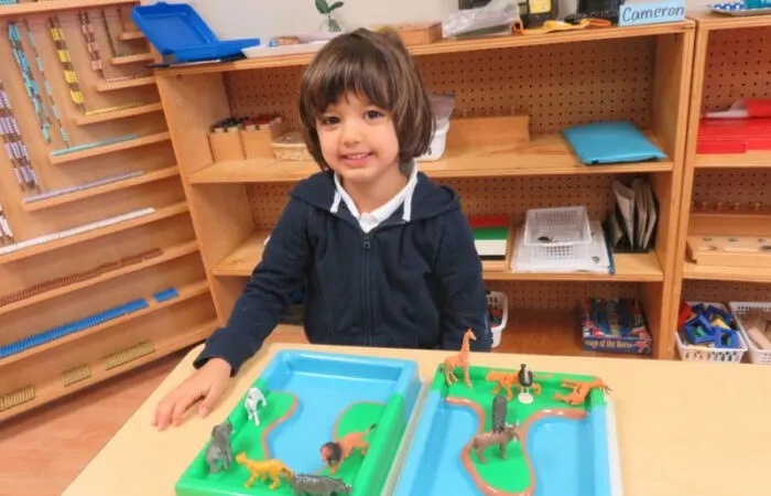 Central Montessori School - York Mills