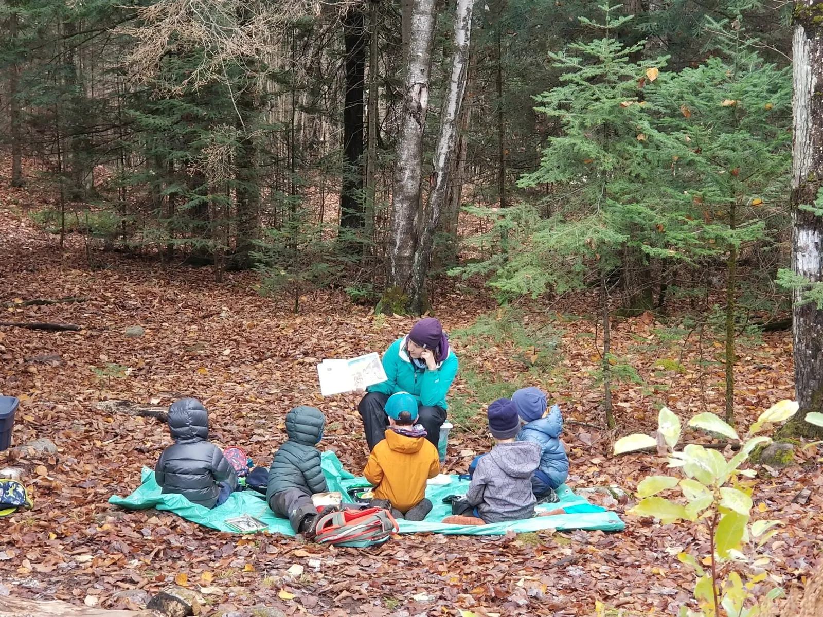 Goderich Forest School