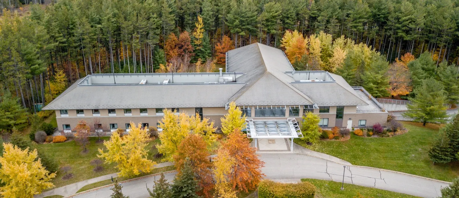 The Hill Academy